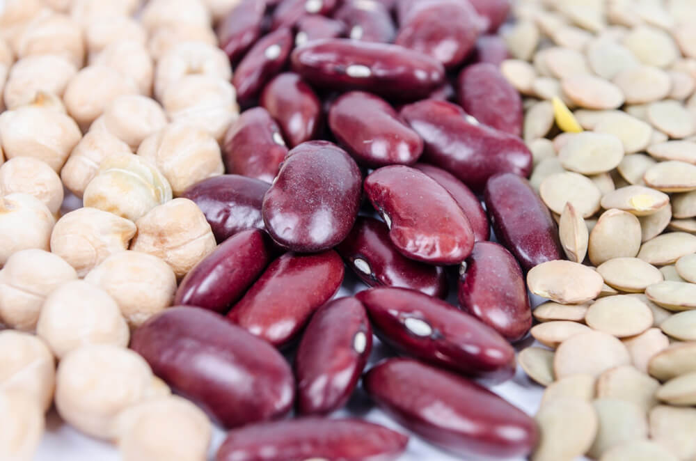Temas Asociación Alimentum